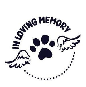 Meet your Posher, Leonila